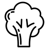 Grafik Brokkoli