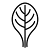 Spinatblatt als Grafik